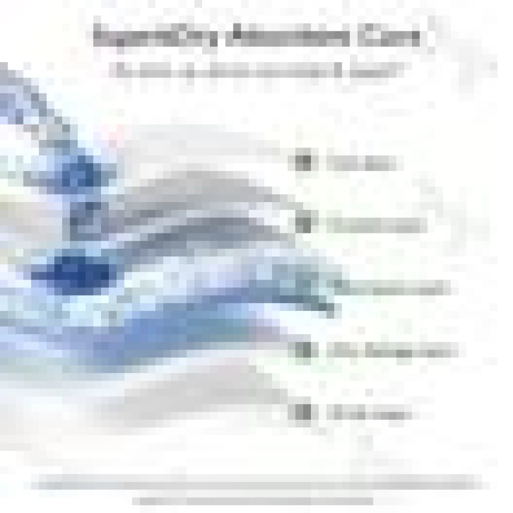 Avonee Baby Diaper (L Size 9-14kg) 34pcs