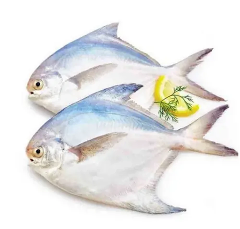Bengal Meat Rupchanda Fish 500g