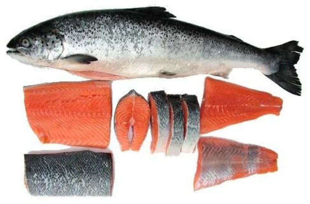 Chhuya Indian Salmon 500g