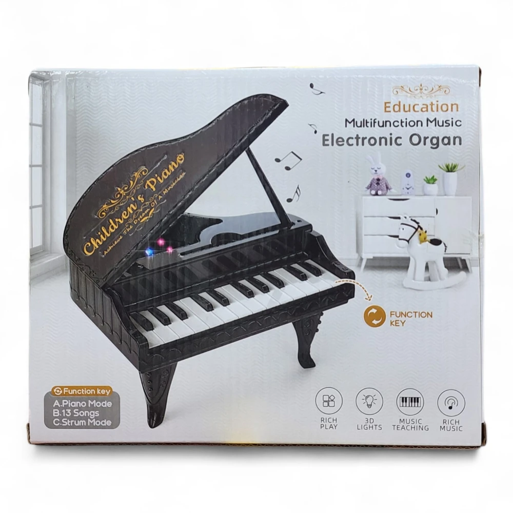 JDL Multifunction Music Electronic Organ
