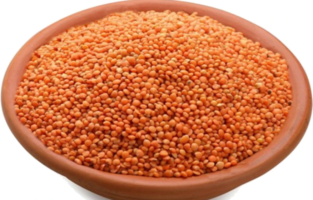 Masoor Dal Kangaroo 1kg