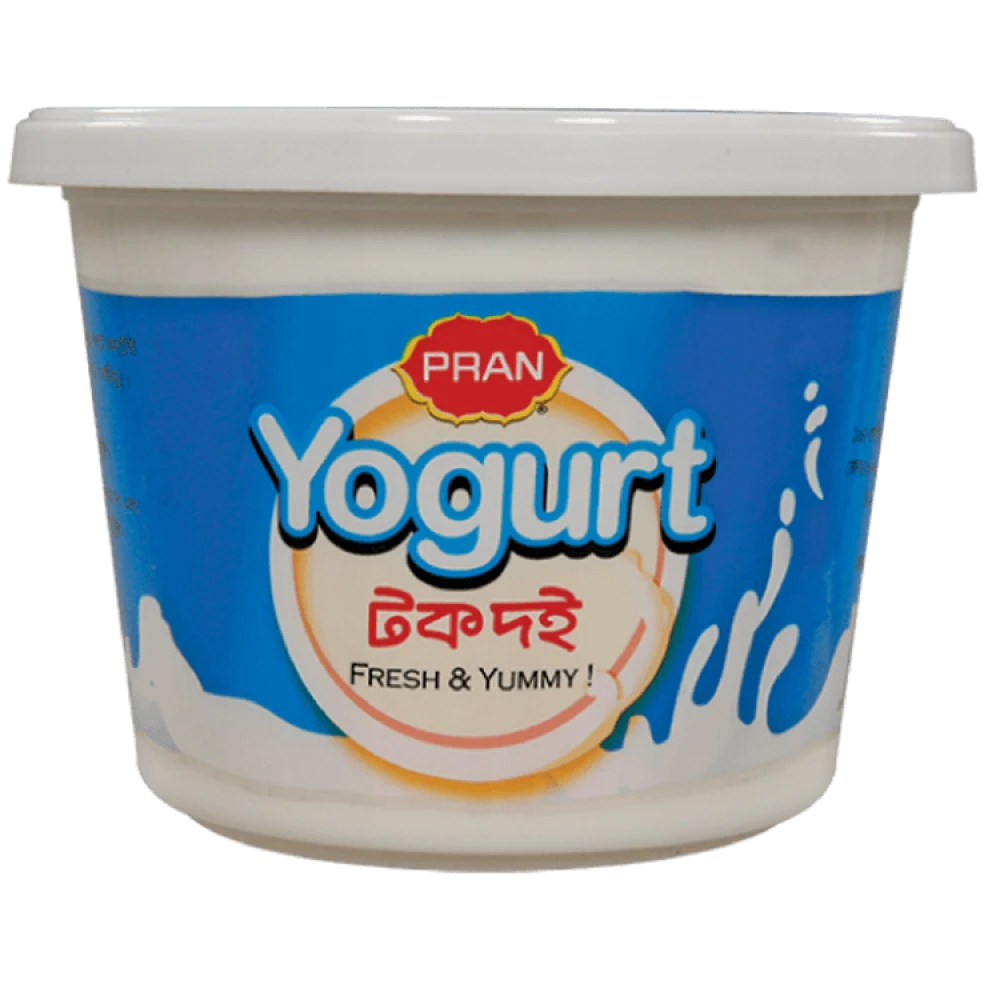 Pran Sour Yogurt 500g