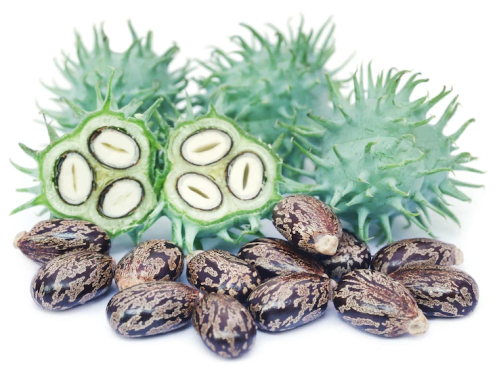 Well's B.P. Castor Oil 70ml